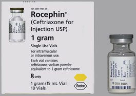 Thuốc Rocephin