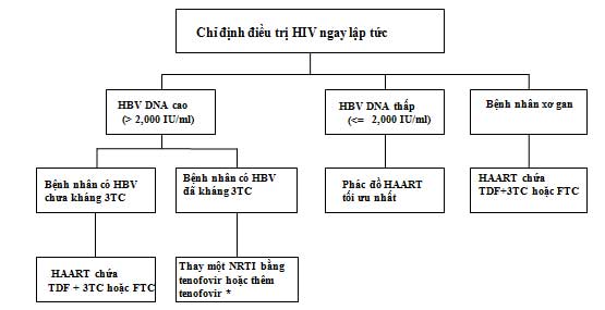 Khuyến cáo điều trị bệnh nhân đồng nhiễm HIV/HBV có chỉ định HAART