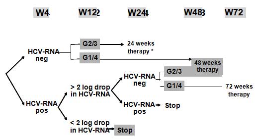 HIV và đồng nhiễm HBV / HCV