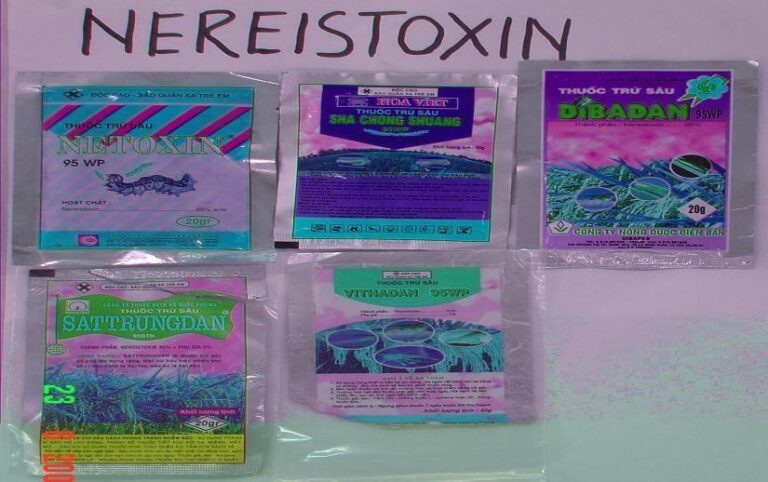 Ngộ độc Nereistoxin – triệu chứng, xử trí cấp cứu