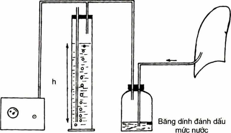 Xử trí chấn thương lồng ngực