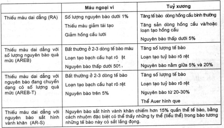 Đa u tủy xương (bệnh Kahler) – Triệu chứng, điều trị