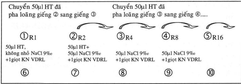 Kỹ thuật chẩn đoán huyết thanh giang mai