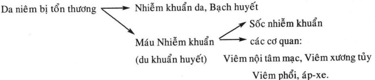 Viêm da mủ – Biểu hiện, nguyên nhân và điều trị
