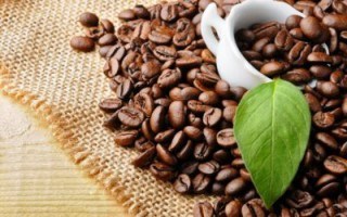 Quả cà phê cho hạt để pha uống và làm thuốc chữa bệnh.
