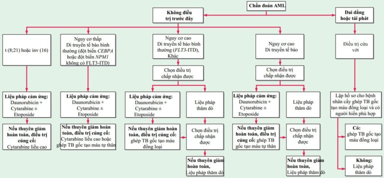 Bạch cầu kinh dòng tủy (CML)
