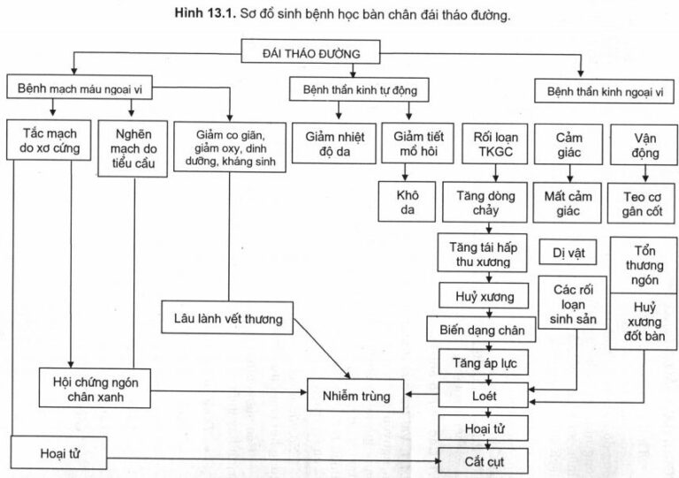 Sinh bệnh học bàn chân đái tháo đường