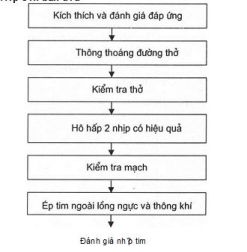 Đánh giá nhịp tim