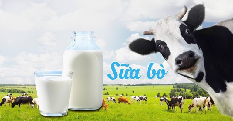 Sai lầm: Trẻ em thiếu máu cần uống nhiều sữa bò?