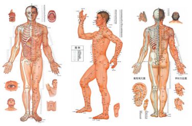 Châm cứu bấm huyệt tại nhà