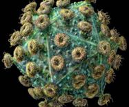 Hội chứng suy giảm miễn dịch mắc phải – AIDS là gì